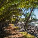 Choisir Guyane pour des vacances en famille