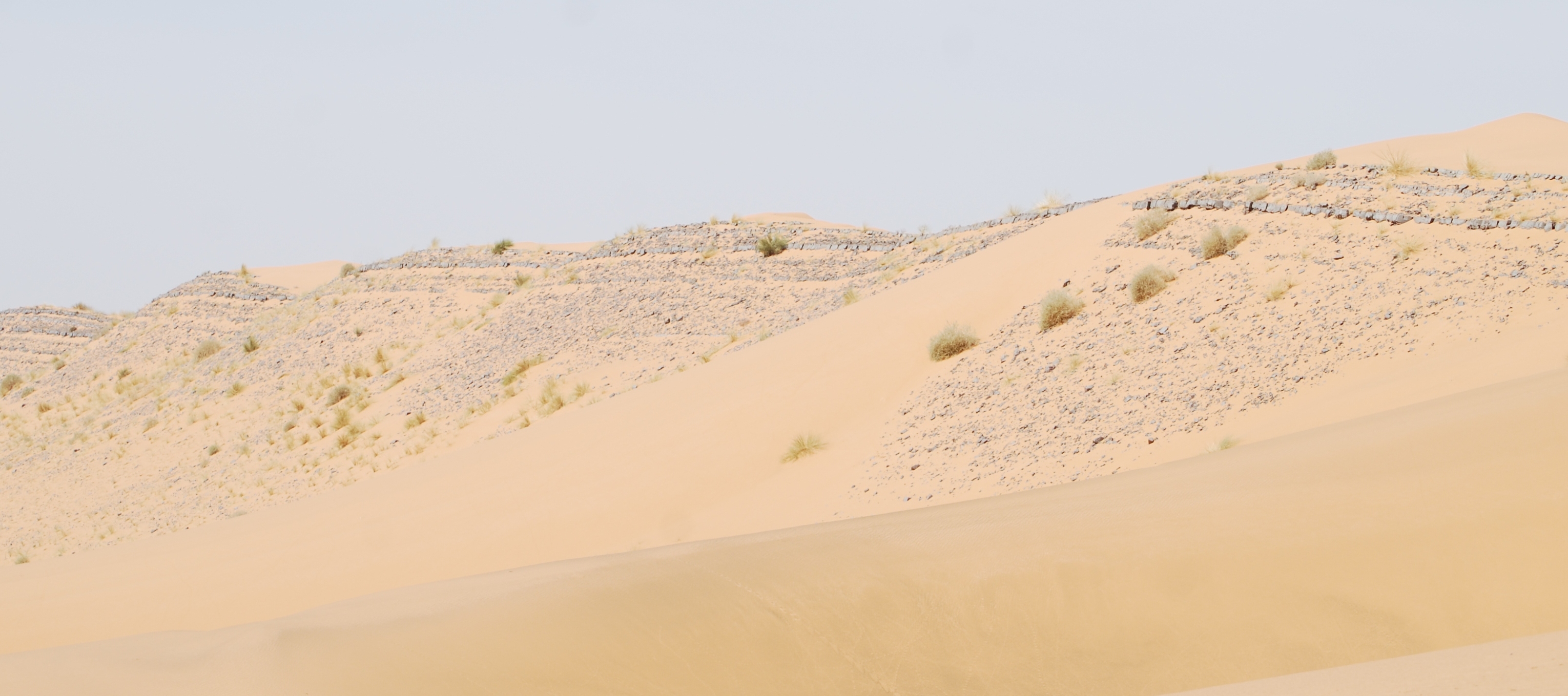 Succession de dunes au Maroc.....1