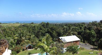 Les différentes raisons de choisir Guadeloupe comme destination de vacances