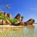 Vous aussi, faites des Seychelles un paradis écologique !