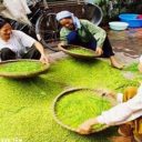 Une destination de rêve à ne pas rater en Asie