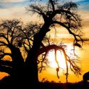 Pourquoi et comment créer un blog de voyage ?