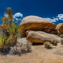 Voyage de découverte aux États-Unis et au Mexique avec Terres d’envies