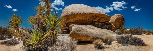 Voyage de découverte aux États-Unis et au Mexique avec Terres d’envies