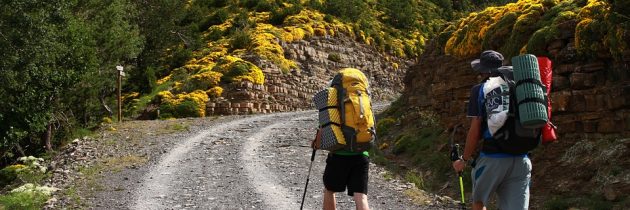 Découvrez les Pyrénées et ses randonnées avec « La petite équipe »