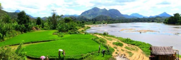 La région de SAVA, un royaume des arômes