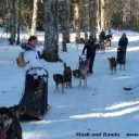 Le grand Nord avec Mush and Rando activités chien de traineau vercors