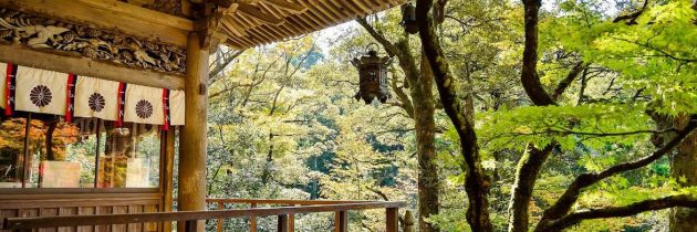 Quelques îles du Japon à découvrir le temps d’un voyage