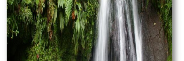 Cap sur l’archipel Guadeloupe, petit Paradis de la Caraïbe, et de Tenerife, l’île de l’éternel printemps