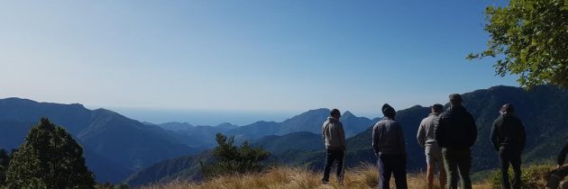 Quelques idées d’activités pendant votre séjour à Nice.