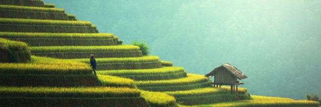 Des paysages exceptionnels à voir en Asie