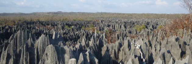 Liste des parcs nationaux à découvrir lors d’un séjour à Madagascar