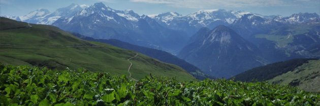 Une randonnée à vélo dans la commune de Breil-sur-Roya et ses alentours