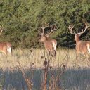 Comment se préparer pour un voyage à la chasse ?