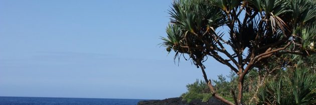 Partir à La Réunion pour les vacances 2018 !