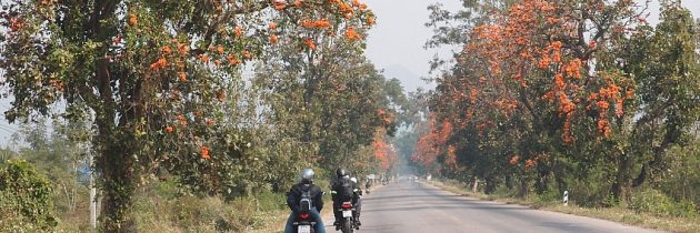 Passer des séjours originaux en Thaïlande et au Laos