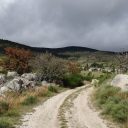 Les Cévennes