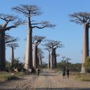 Tourisme durable et responsabledurant son voyage à Madagascar