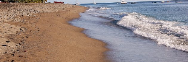 Quand partir en Martinique ?