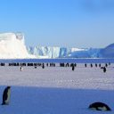 Croisière spéciale expédition dans l’Antarctique
