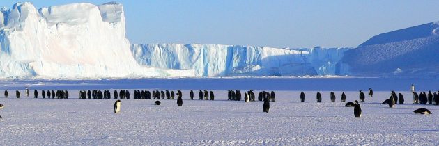 Croisière spéciale expédition dans l’Antarctique