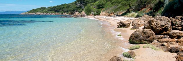 L’île de Porquerolles : une destination pleine de surprises