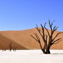 Bien planifier son voyage pour la Namibie