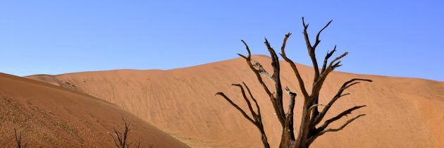 Bien planifier son voyage pour la Namibie